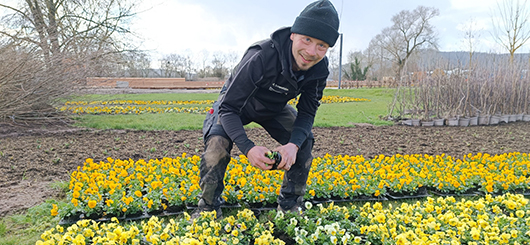 80.000 Frühjahrsblüher
